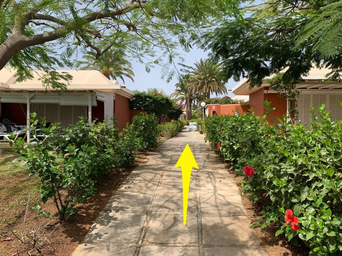 Flamboyant Tree Garden Holiday Home Maspalomas (Gran Canaria) Exterior foto